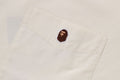 A BATHING APE BIG COLLEGE SHIRT