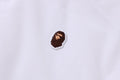 A BATHING APE Ladies' COLOR CAMO REVERSIBLE DOWN JACKET
