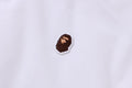 A BATHING APE Ladies' COLOR CAMO REVERSIBLE DOWN VEST