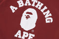A BATHING APE COLLEGE COACH JACKET