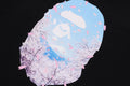 A BATHING APE Ladies' SAKURA PHOTO APE HEAD MINI TEE