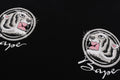 A BATHING APE TIGER SOUVENIR TEE