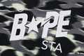 A BATHING APE SCREEN CAMO STA LOGO RELAXED FIT TEE - happyjagabee store