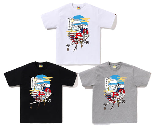 A BATHING APE JAPAN CULTURE APE HEAD TEE