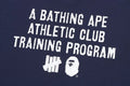 A BATHING APE BAPE x UNDEFEATED UNDFTD CREWNECK SWEAT SHIRT