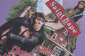 A BATHING APE BAPE x SAINT MXXXXXX TEE