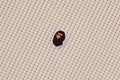 A BATHING APE Ladies' APE HEAD ONE POINT WAFFLE L/S TEE