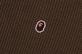 A BATHING APE Ladies' APE HEAD ONE POINT WAFFLE L/S TEE