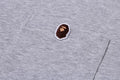 A BATHING APE ONE POINT RELAXED FIT POCKET TEE
