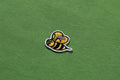 A BATHING APE BAPE BEE ONE POINT RELAXED FIT TEE