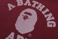 A BATHING APE GARMENT DYE COLLEGE PULLOVER HOODIE
