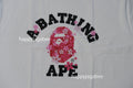 A BATHING APE SAKURA COLLEGE TEE