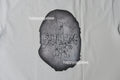 A BATHING APE MULTI LOGO BIG APE HEAD RELAXED FIT TEE