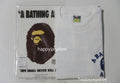 A BATHING APE ABC CAMO COLLEGE ATS TEE
