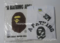 A BATHING APE CITY CAMO COLLEGE L/S TEE