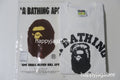 A BATHING APE BAPE STORE HARAJUKU COLLEGE TEE HARAJUKU LIMITED