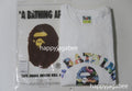A BATHING APE ART CAMO COLLEGE TEE