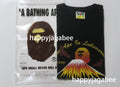 A BATHING APE ONE FUJI TWO TAKA THREE APES SOUVENIR TEE