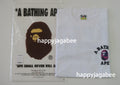 A BATHING APE COLOR CAMO COLLEGE ATS L/S TEE
