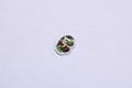 A BATHING APE ABC CAMO ONE POINT TEE