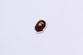 A BATHING APE ONE POINT TEE