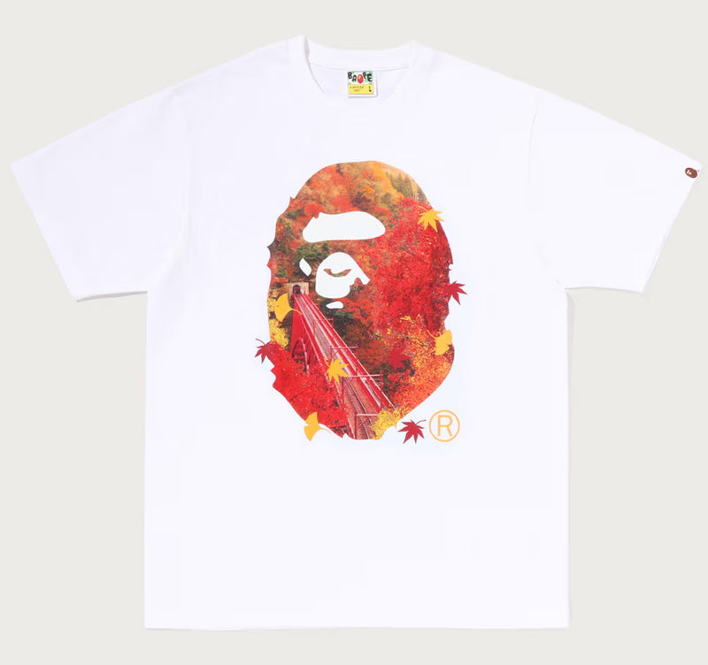 A BATHING APE JAPAN AUTUMN PHOTO APE HEAD TEE