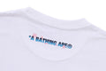 A BATHING APE SAKURA PHOTO APE HEAD TEE