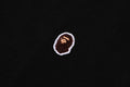 A BATHING APE ONE POINT REGULAR FIT CREWNECK SWEAT SHIRT - happyjagabee store