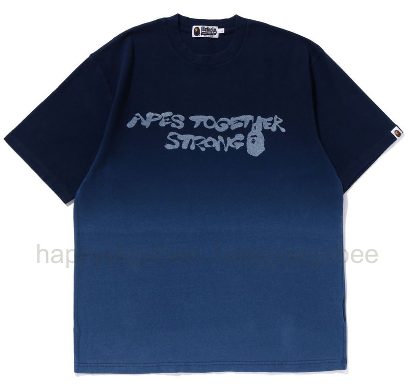 A BATHING APE BAPE GRADATION TEE [Relaxed]