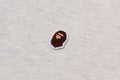 A BATHING APE ONE POINT LS TEE
