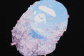 A BATHING APE SAKURA PHOTO APE HEAD TEE