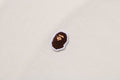 A BATHING APE ONE POINT REGULAR FIT CREWNECK SWEAT SHIRT - happyjagabee store