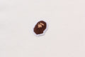 A BATHING APE Ladies' APE HEAD ONE POINT CROPPED ZIP HOODIE