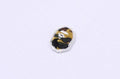 A BATHING APE 1ST CAMO ONE POINT LS TEE