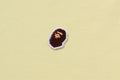 A BATHING APE ONE POINT LS TEE