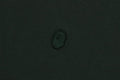 A BATHING APE TONAL APE HEAD ONE POINT TEE [Relaxed]