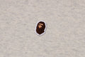 A BATHING APE Ladies' APE HEAD ONE POINT CROPPED ZIP HOODIE