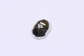A BATHING APE 1ST CAMO ONE POINT TEE