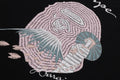 A BATHING APE SAKURA SOUVENIR TEE