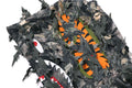 A BATHING APE TREE EDGE CAMO LASER CUT CROPPED SHARK FULL ZIP HOODIE