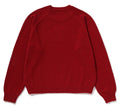 A BATHING APE Ladies' COLLEGE KNIT SWEATER