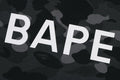 A BATHING APE COLOR CAMO BAPE PULLOVER HOODIE - happyjagabee store