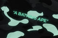 A BATHING APE CITY CAMO POINTER COACH JACKET ( ONLINE EXCLUSIVE )