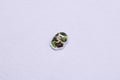 A BATHING APE Ladies' ABC CAMO APE HEAD ONE POINT TEE