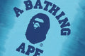 A BATHING APE BAPE KIDS GRADATION COLLEGE TEE - happyjagabee store