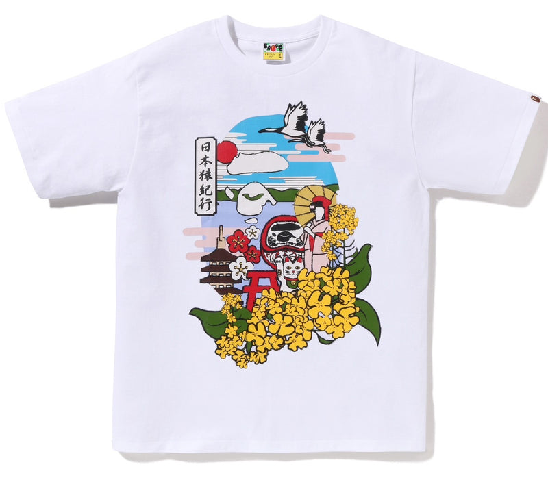 A BATHING APE JAPAN CULTURE SPRING APE HEAD TEE
