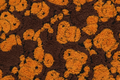 A BATHING APE BAPE KIDS ALL BABY MILO PILE FACE TOWEL