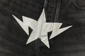 A BATHING APE TWIN STA 13oz DENIM LOOSE FIT SHORTS