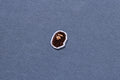 A BATHING APE ONE POINT FULL ZIP HOODIE