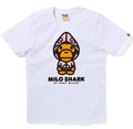 A BATHING APE Ladies' PASTEL COLOR CAMO MILO SHARK FZH TEE